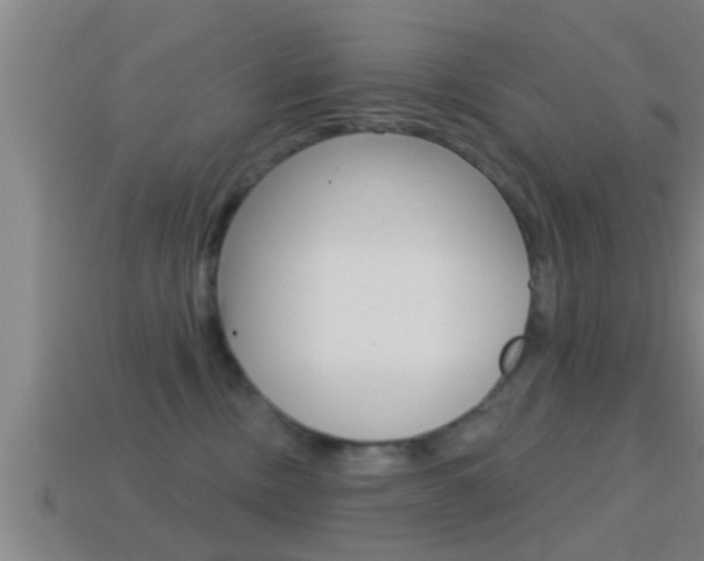 X0000114610378200910200945