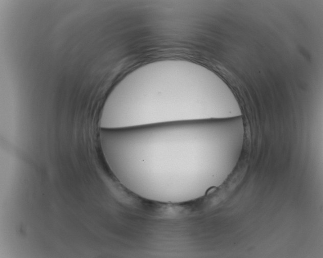 X0000114610379200910200945