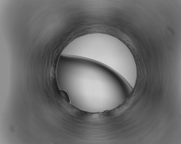 X0000114610382200910200946