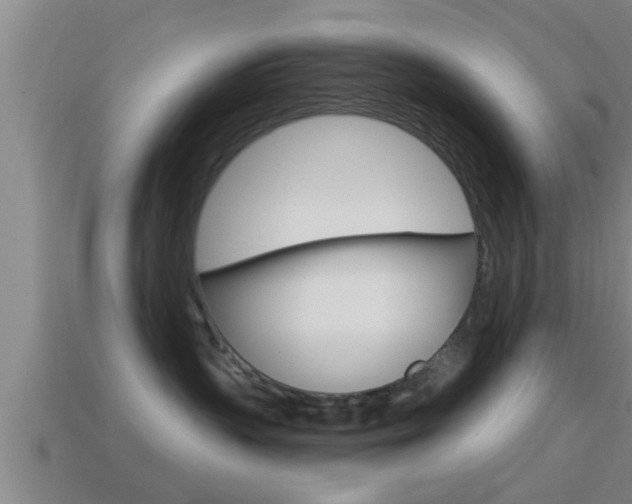 X0000114610383200910200946
