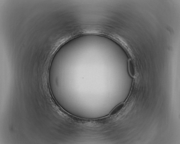 X0000114610385200910200945
