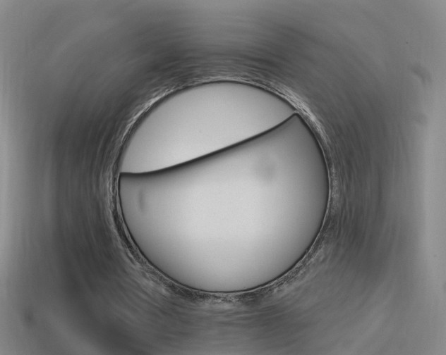 X0000114610386200910200945