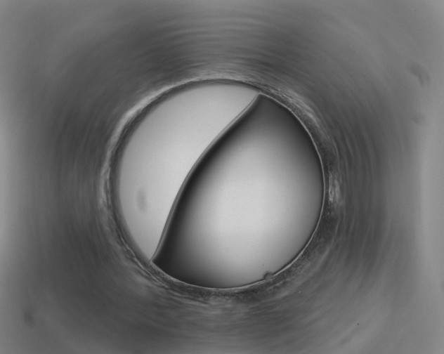X0000114610388200910200945