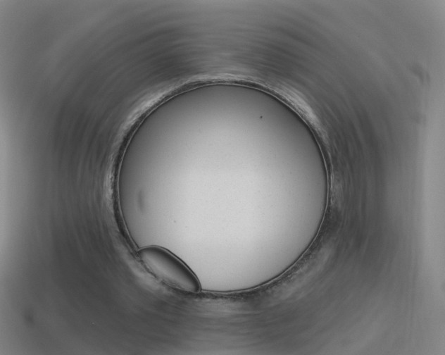 X0000114610389200910200945