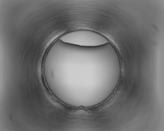 X0000114610390200910200945