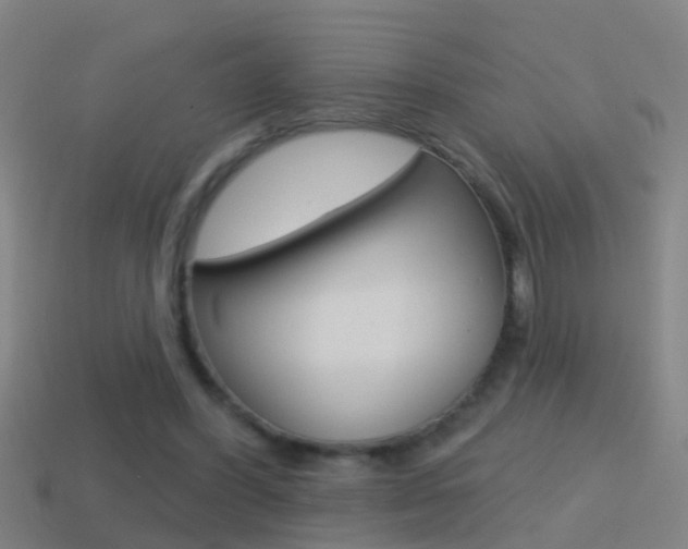 X0000114610396200910200945