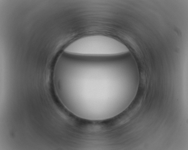 X0000114610404200910200945