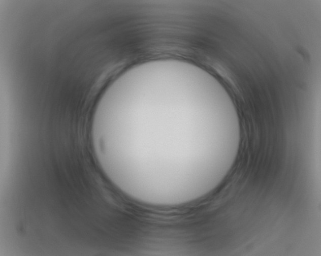 X0000114610407200910200945