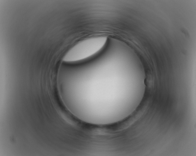X0000114610408200910200945
