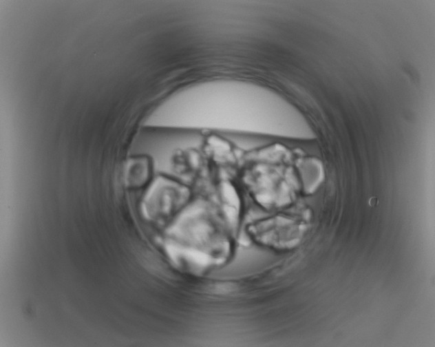 X0000114610409200910200945