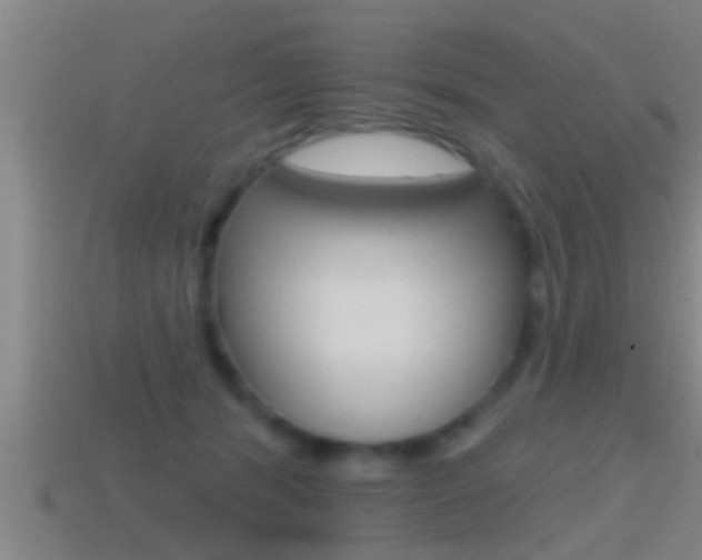 X0000114610416200910200945