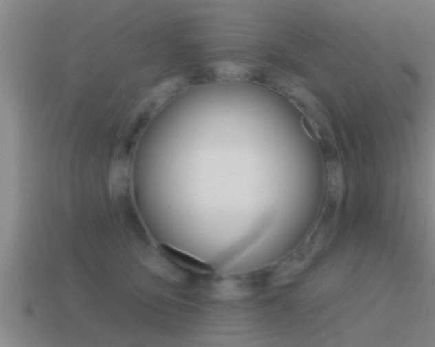 X0000114610419200910200944