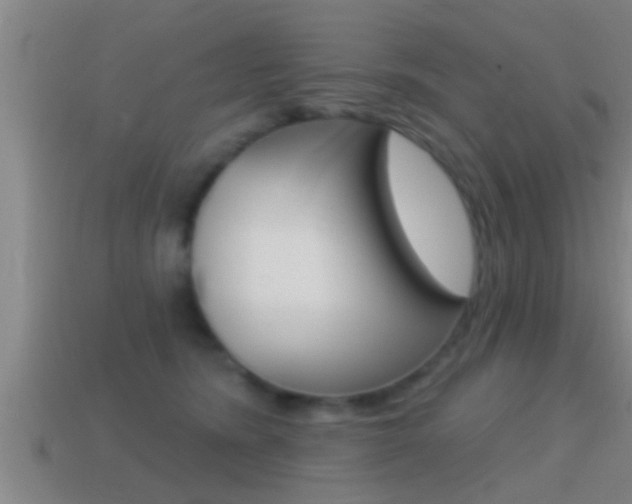 X0000114610420200910200944