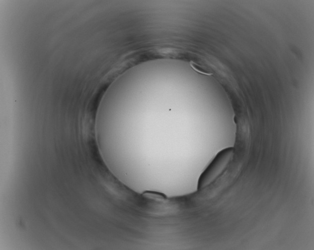X0000114610421200910200944