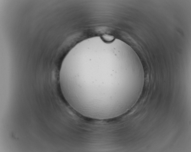 X0000114610424200910200944
