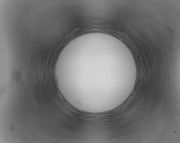 X0000114610425200910200944