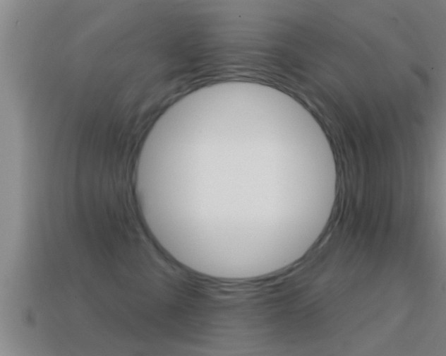 X0000114610427200910200944