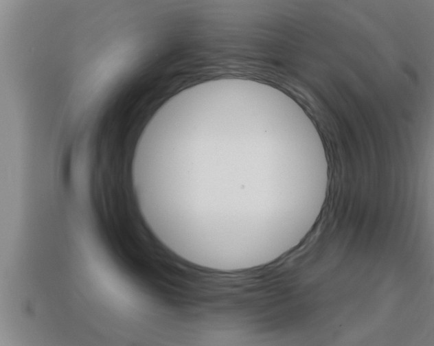 X0000114610429200910200944