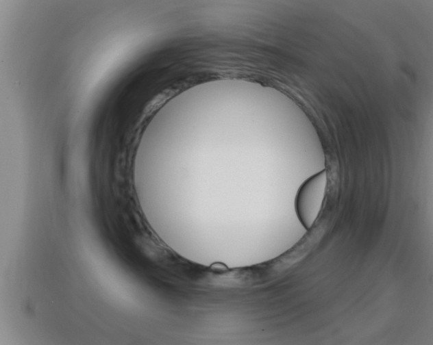 X0000114610430200910200944
