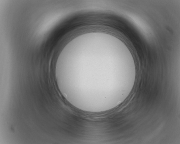 X0000114610431200910200944