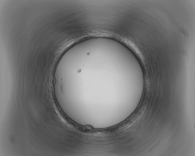 X0000114610433200910200944