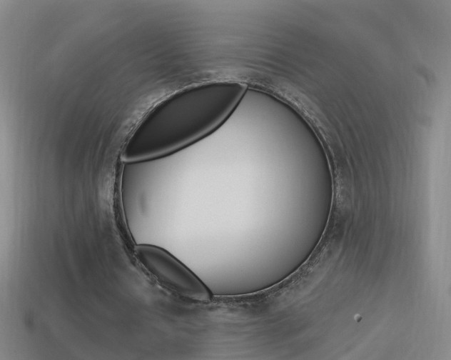 X0000114610434200910200944
