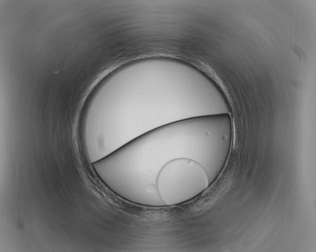 X0000114610435200910200944