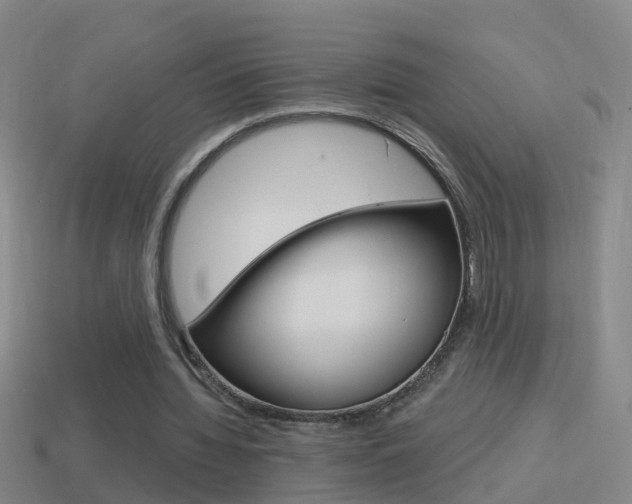 X0000114610436200910200944