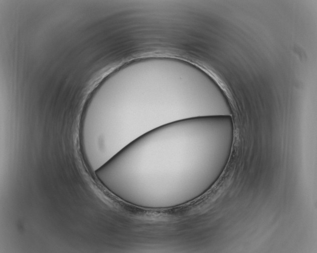 X0000114610437200910200944