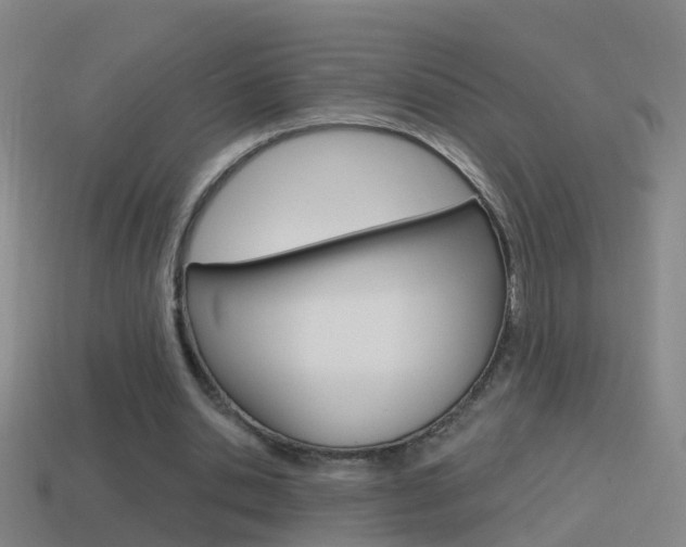 X0000114610438200910200944