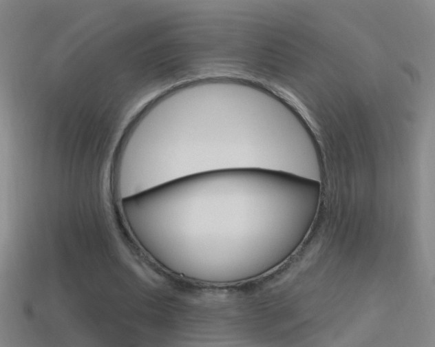 X0000114610439200910200944