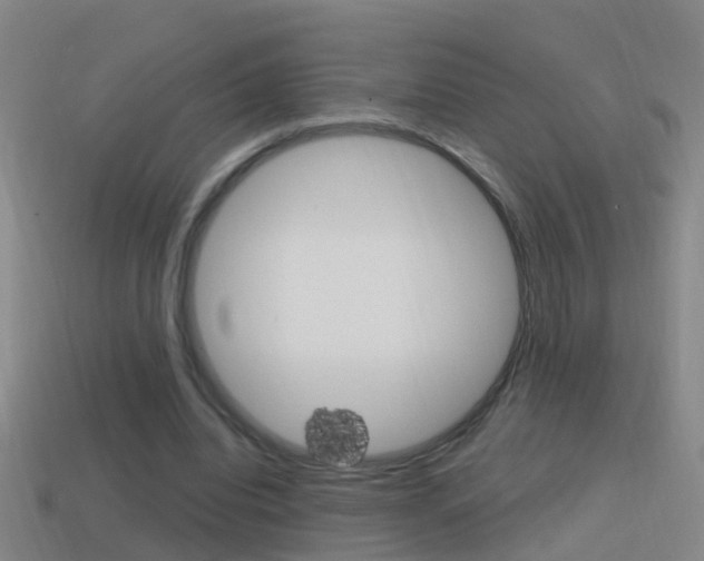 X0000114610440200910200944