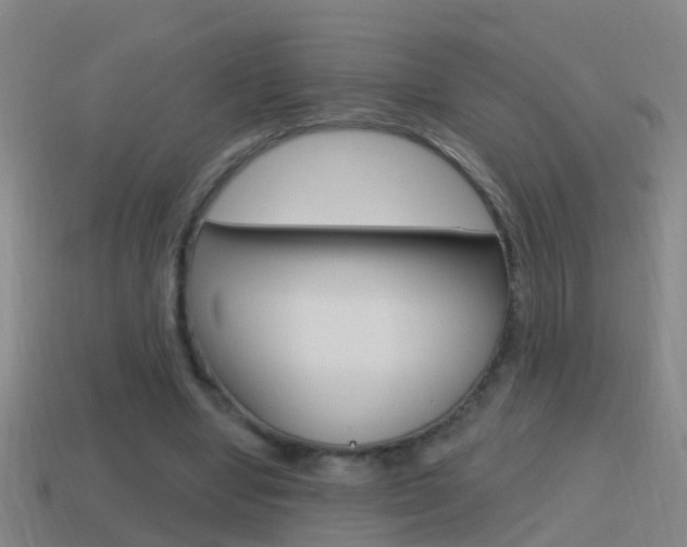 X0000114610442200910200944