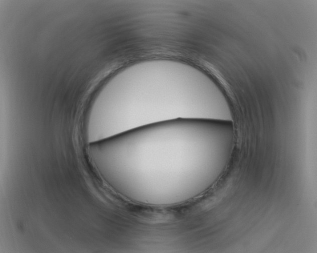 X0000114610443200910200944