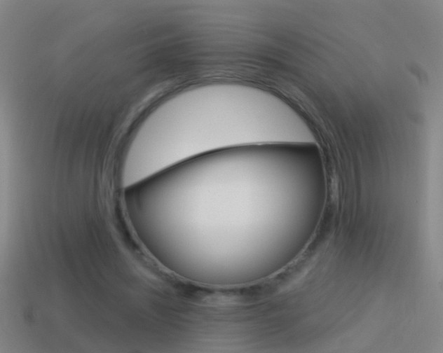 X0000114610444200910200944