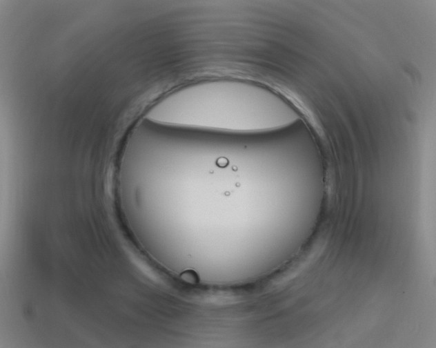 X0000114610445200910200944