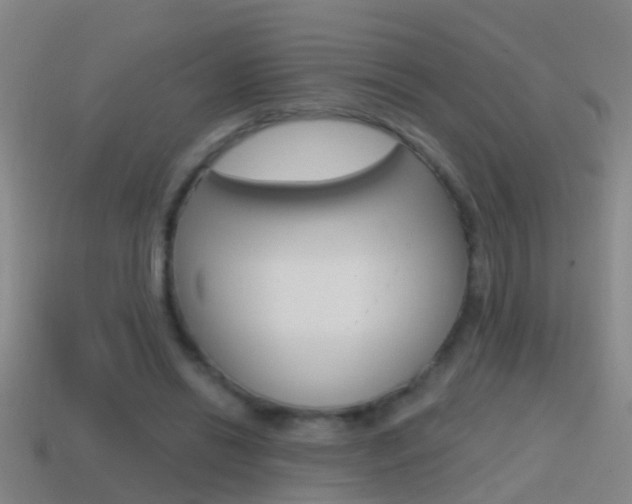 X0000114610446200910200944