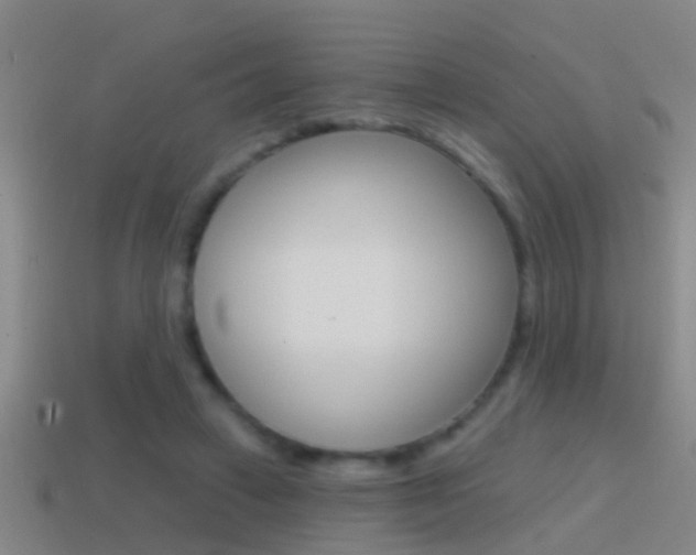 X0000114610449200910200944