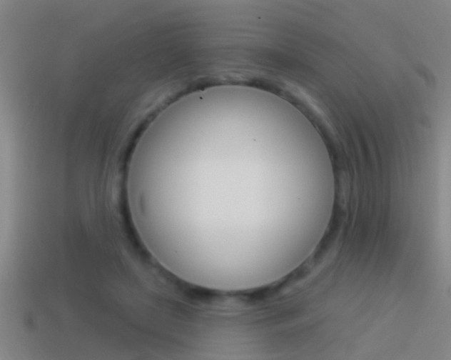 X0000114610451200910200944