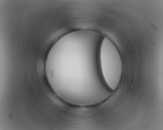 X0000114610453200910200944