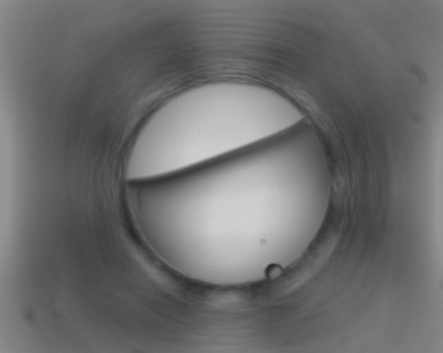 X0000114610454200910200944
