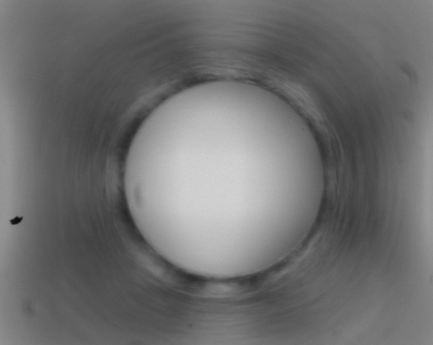 X0000114610457200910200944