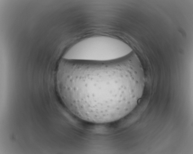 X0000114610462200910200944