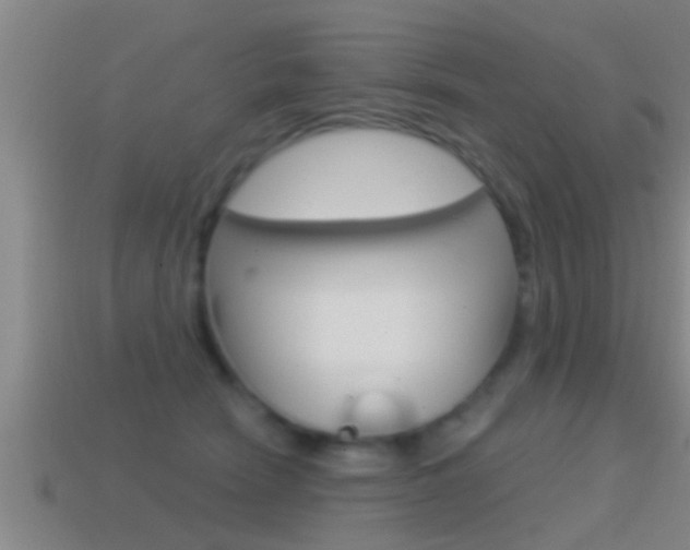 X0000114610466200910200944
