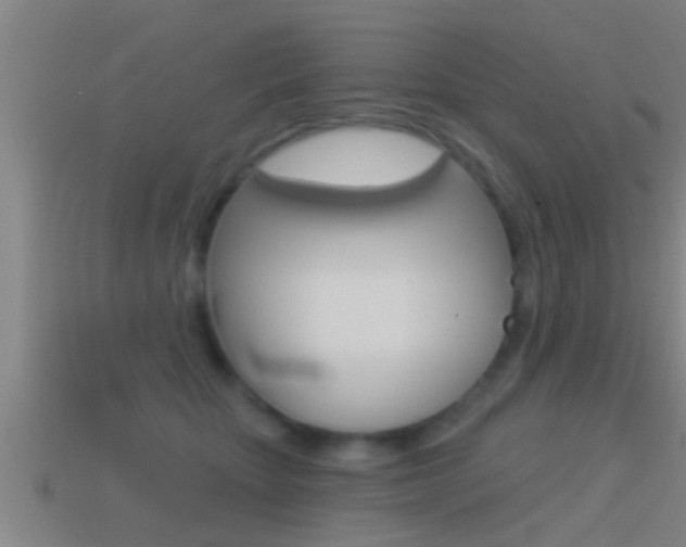 X0000114610467200910200944