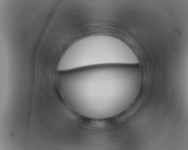 X0000114610469200910200944