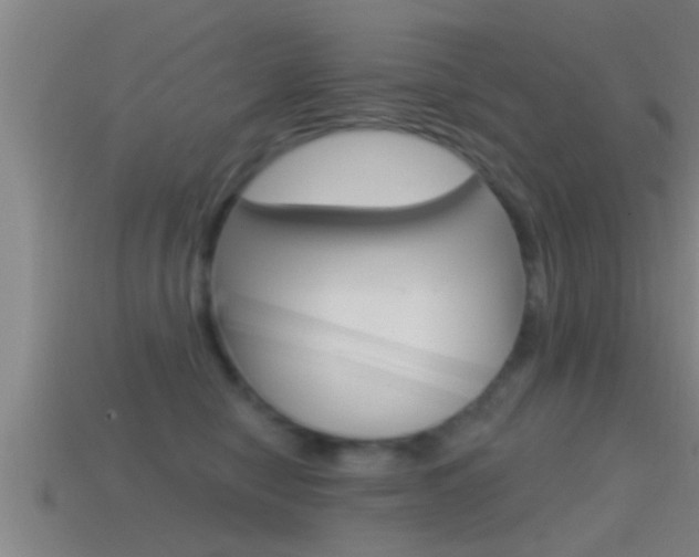 X0000114610470200910200944