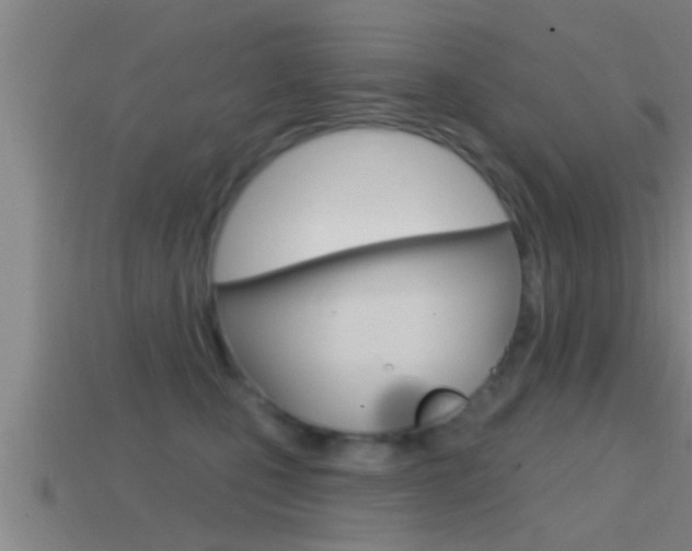 X0000114610471200910200944