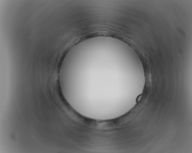 X0000114610472200910200944