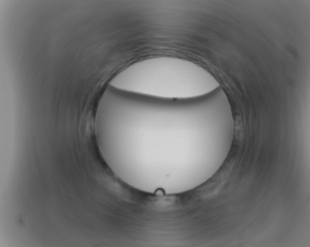 X0000114610474200910200944